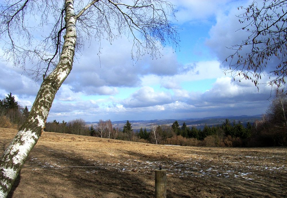 Javorová skála